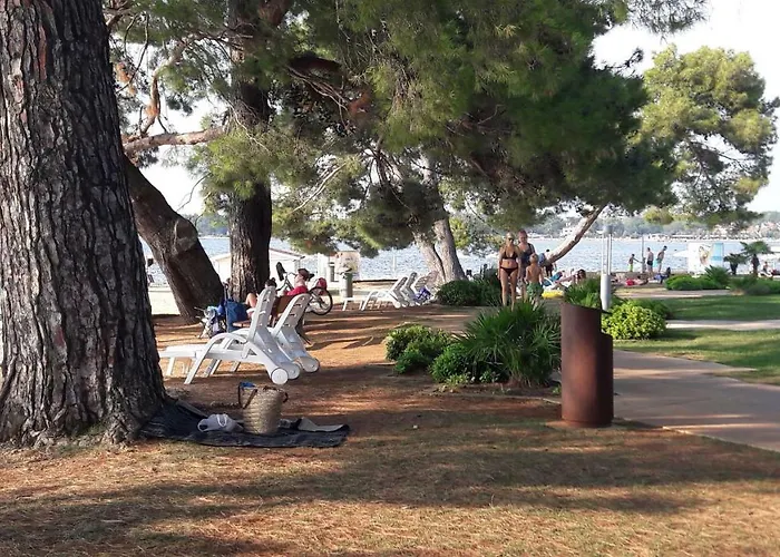 Daire Ad Stellam Maris